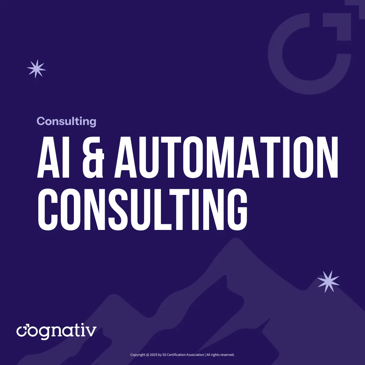 AI Strategy and Consulting