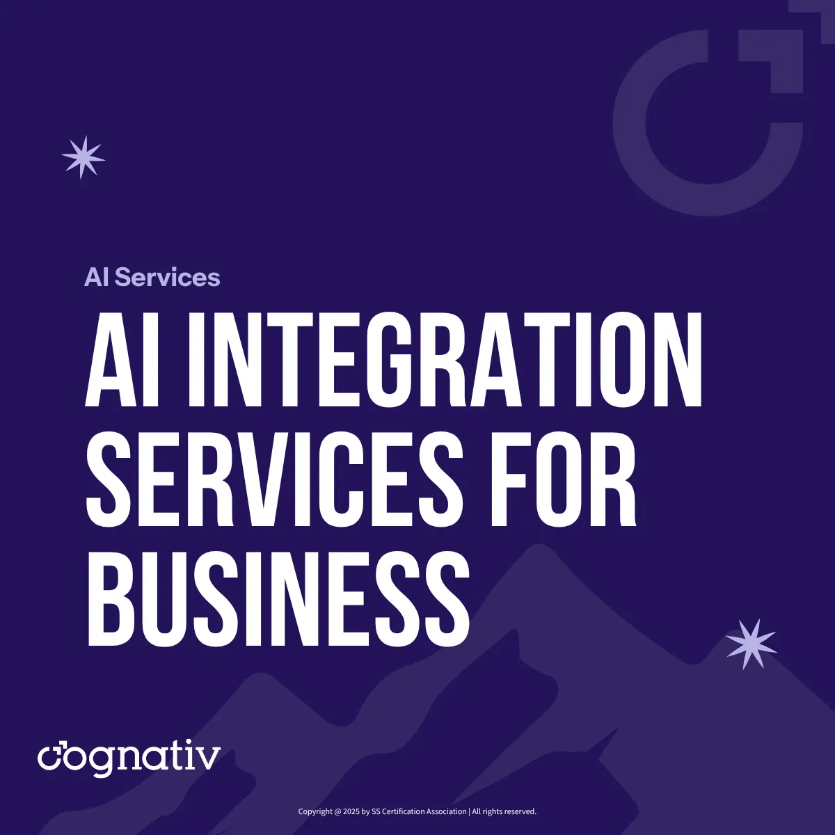 AI Implementation and Integration