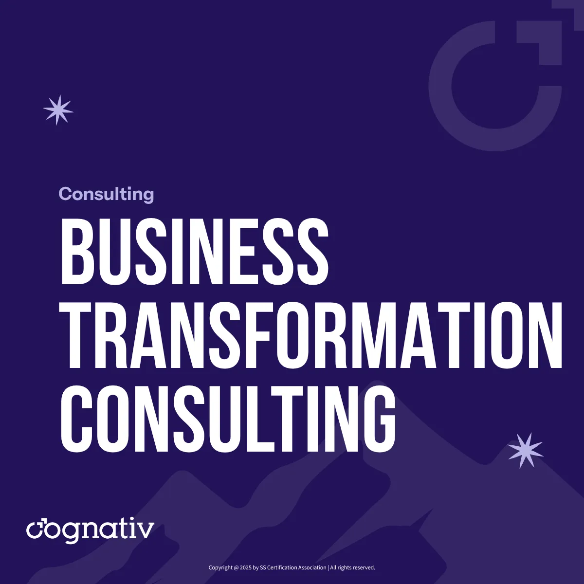 Business Transformation Consulting