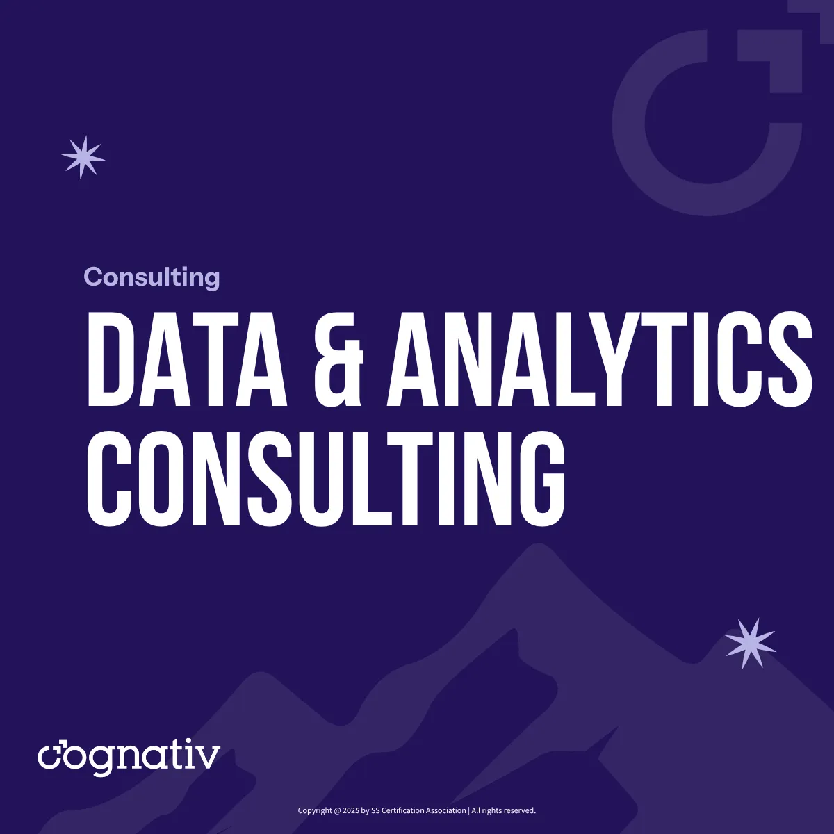 Data & Analytics Consulting