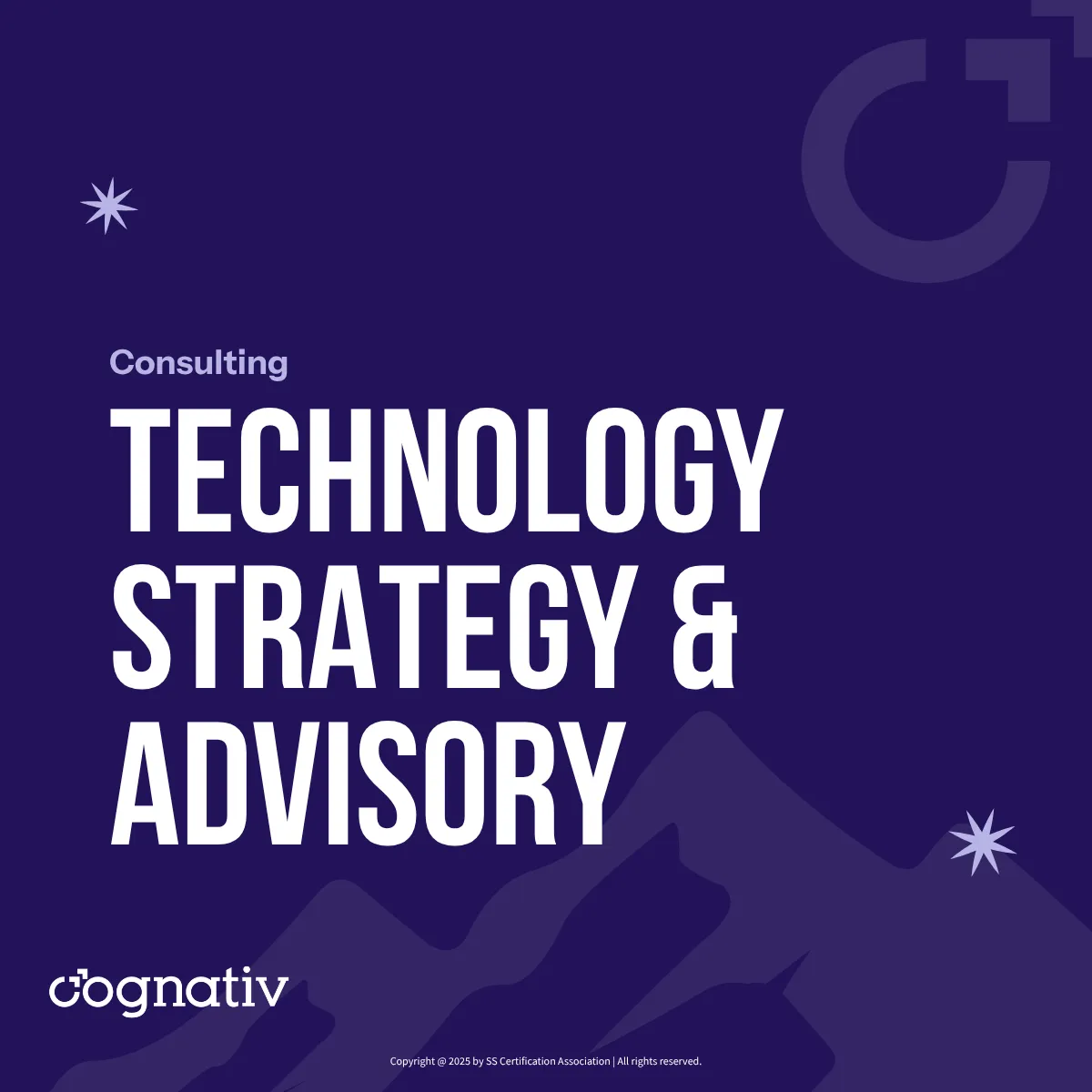 Technology Strategy & Advisory