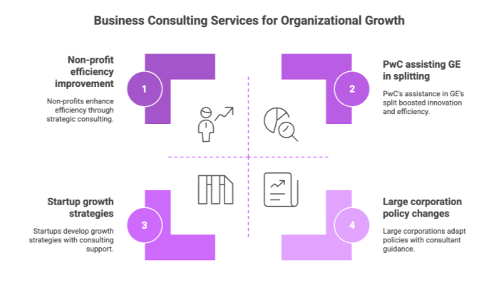 Business Consulting Services for Organizational Growth