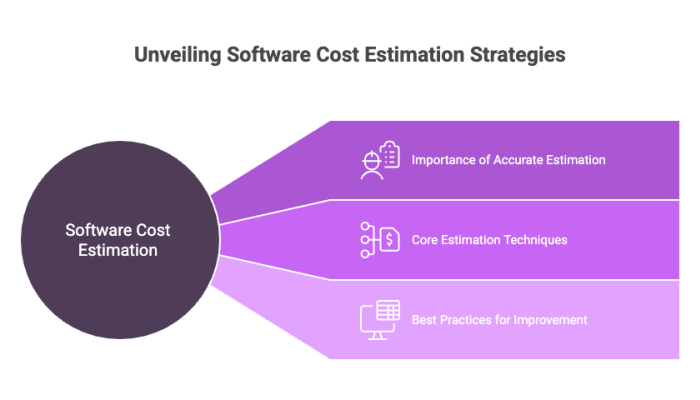 Unveiling Software Cost Estimation Strategies