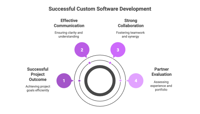 Successful Custom Software Development