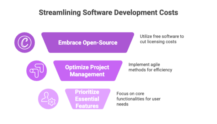 Streamlining Software Development Costs