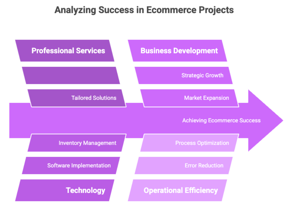 Analyzing Success in Ecommerce Projects