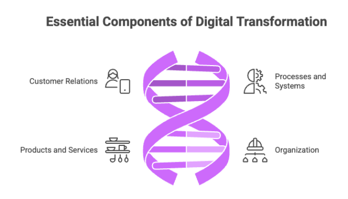 Essential Components of Digital Transformation