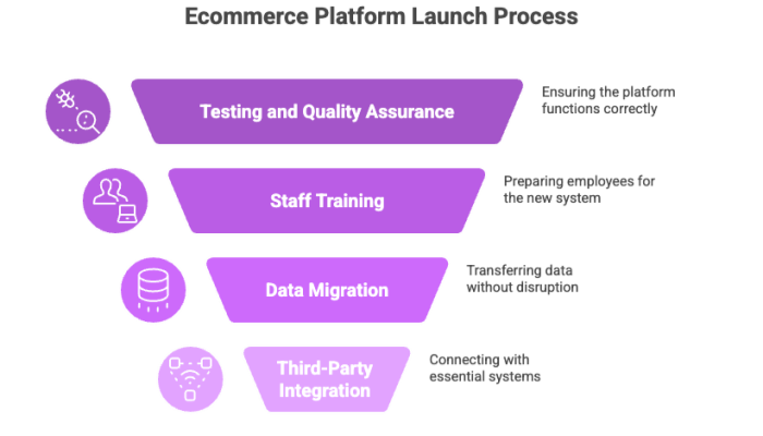 Ecommerce Platform Launch Process