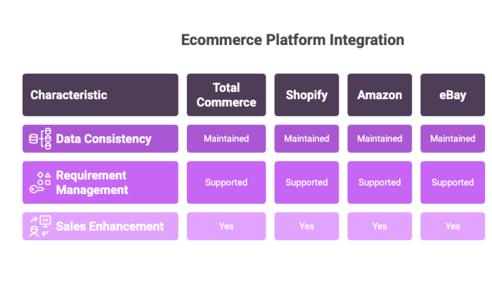 Ecommerce Platform Integration
