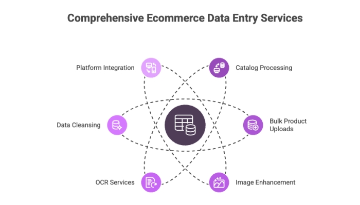 Comprehensive Ecommerce Data Entry Services