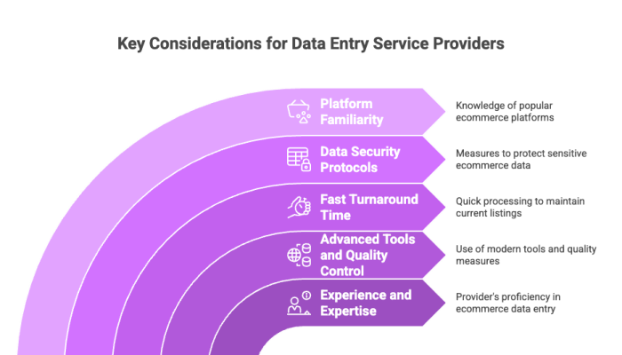 Key Considerations for Data Entry Service Providers