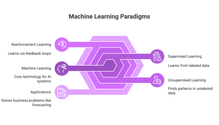 Machine Learning Paradigms