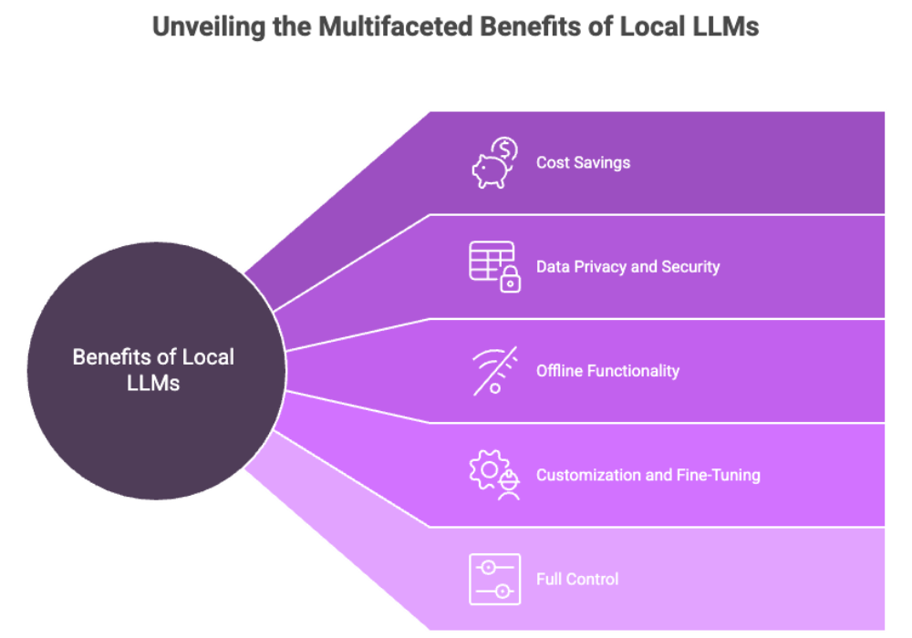 Unveiling the Multifaceted Benefits of Local LLMs
