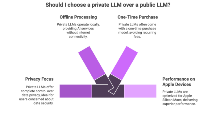 Should I choose a private LLM over a public LLM?