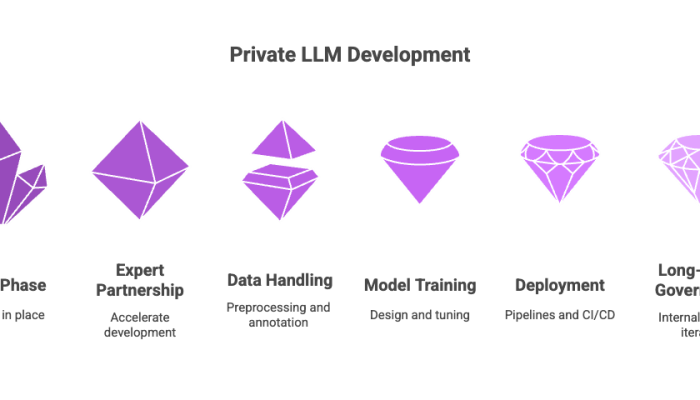 Private LLM Development