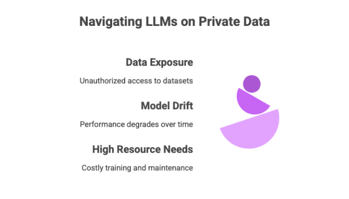 Navigating LLMs on Private Data