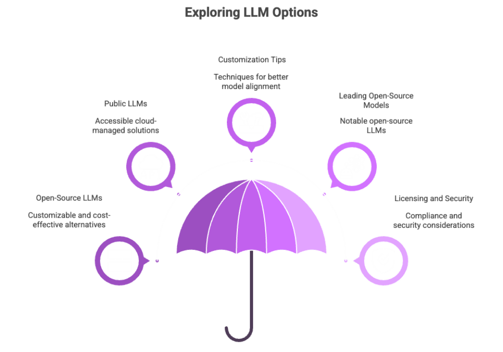 Exploring LLM Options