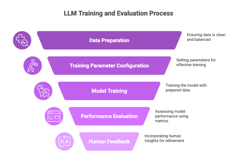 LLM Training and Evaluation Process