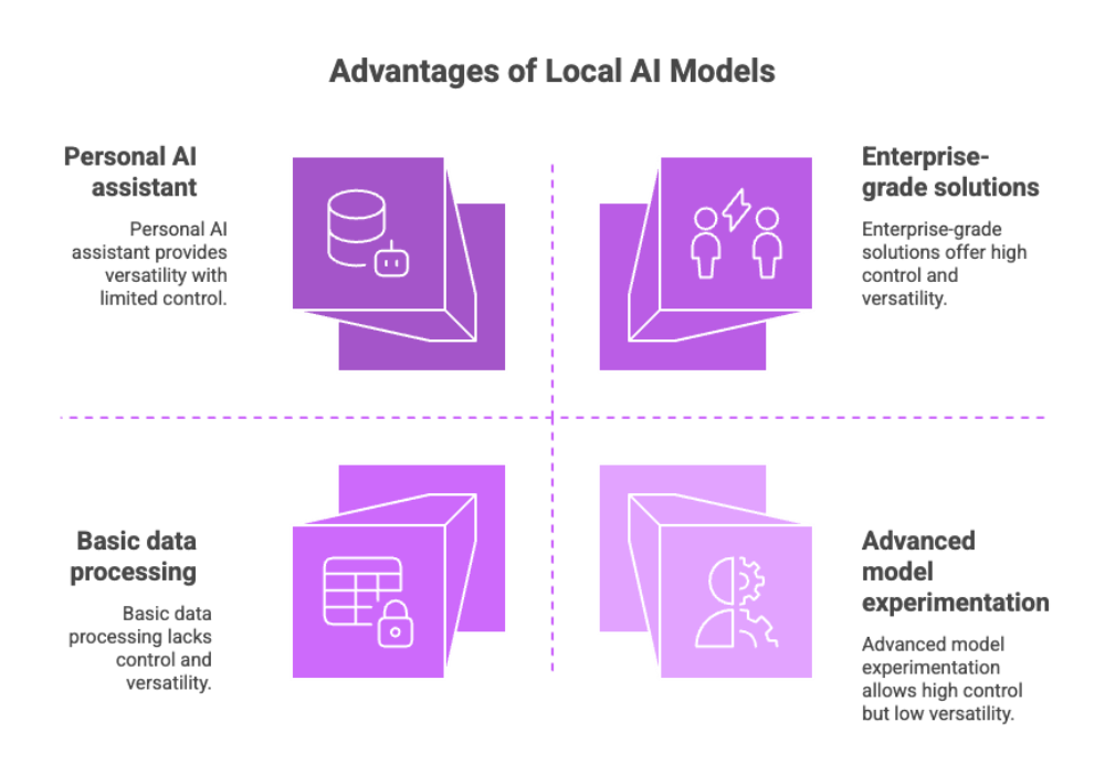 Advantages of Local AI Models
