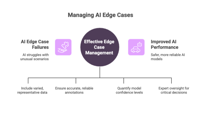 Managing AI Edge Cases