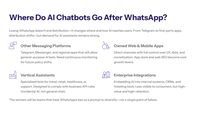 Slide exploring where AI chatbots go after the WhatsApp ban, listing alternative channels such as other messaging platforms (Telegram, Messenger), owned web and mobile apps, vertical assistants, and enterprise integrations.