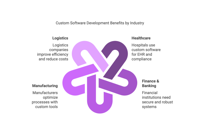 Custom Software Development Benefits by Industry