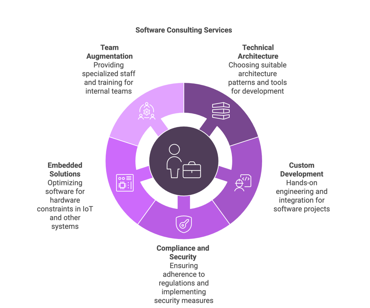 Software Consulting Services