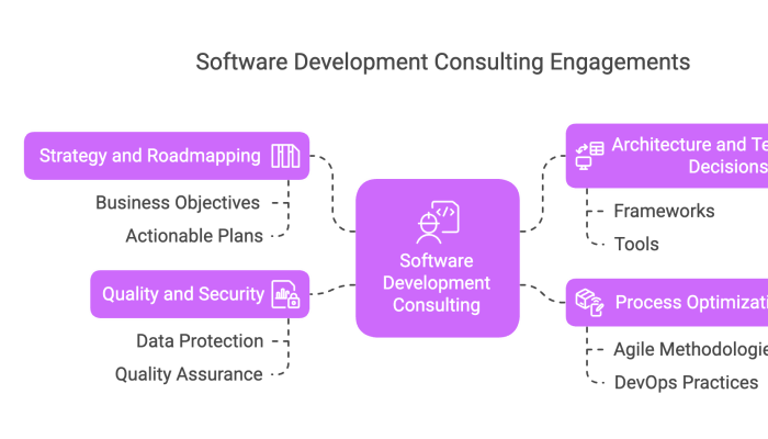 Software Development Consulting Engagements