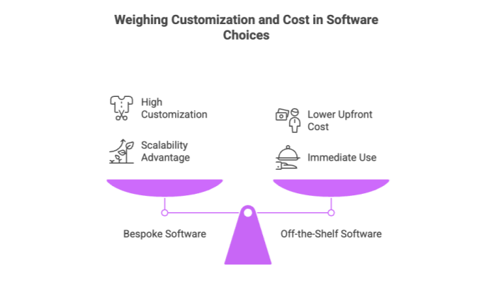 Weighing Customization and Cost in Software Choices