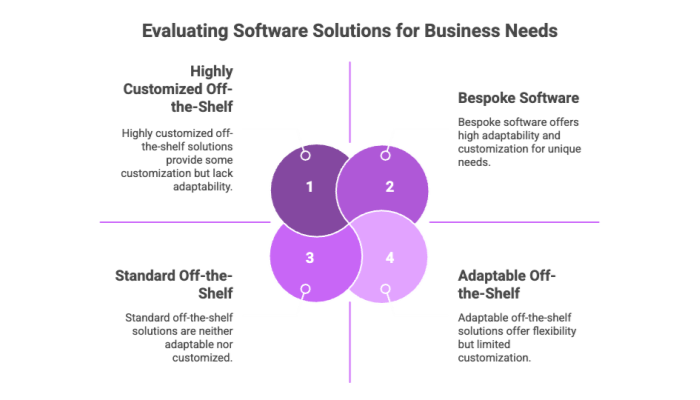 Evaluating Software Solutions for Business Needs