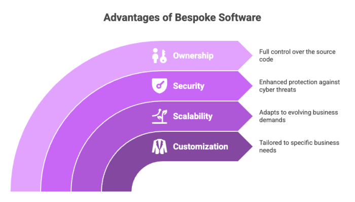 Advantages of Bespoke Software