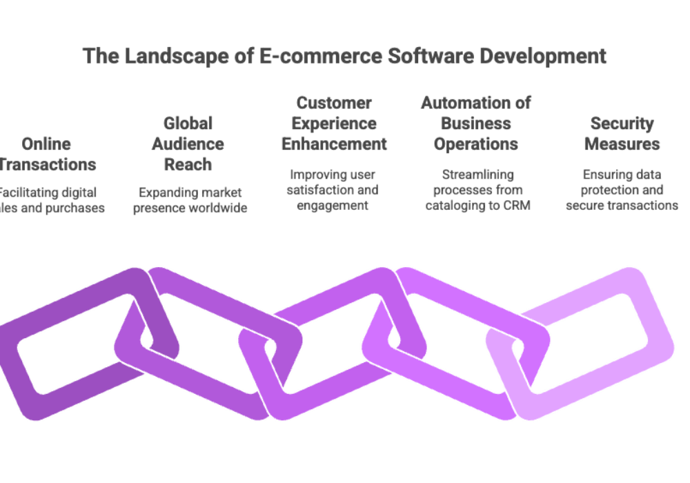 The Landscape of E-commerce Software Development