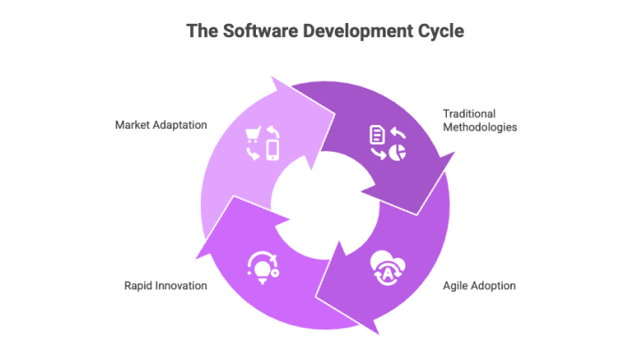 The Software Development Cycle