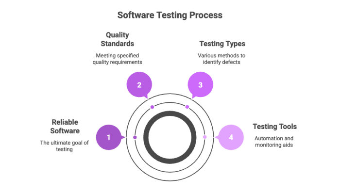 Software Testing Process