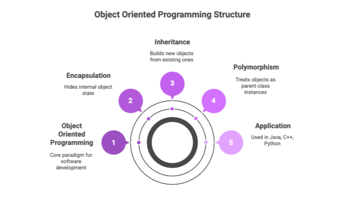 Object Oriented Programming Structure