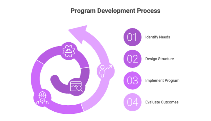 Program Development Process