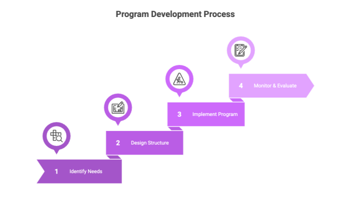 Program Development Process