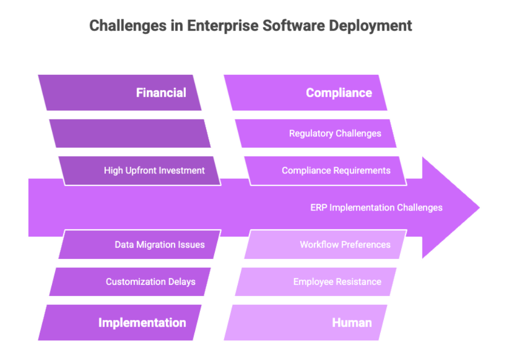 Challenges in Enterprise Software Deployment