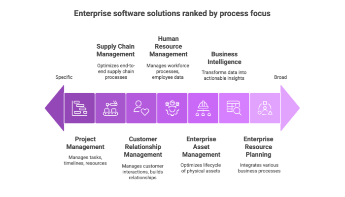 Enterprise software solutions ranked by process focus