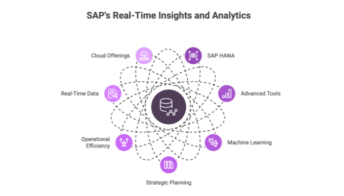 SAP's Real-Time Insights and Analytics