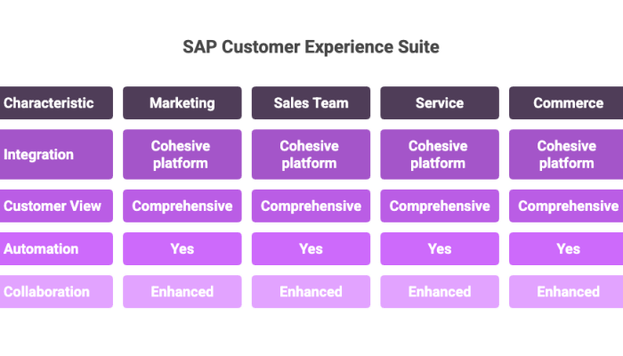 SAP Customer Experience Suite