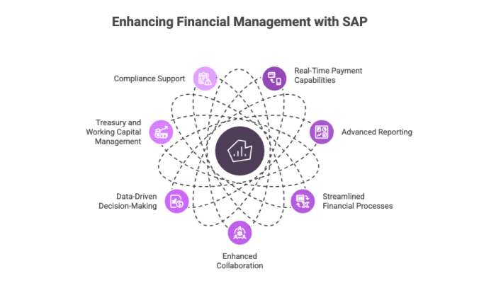 Enhancing Financial Management with SAP