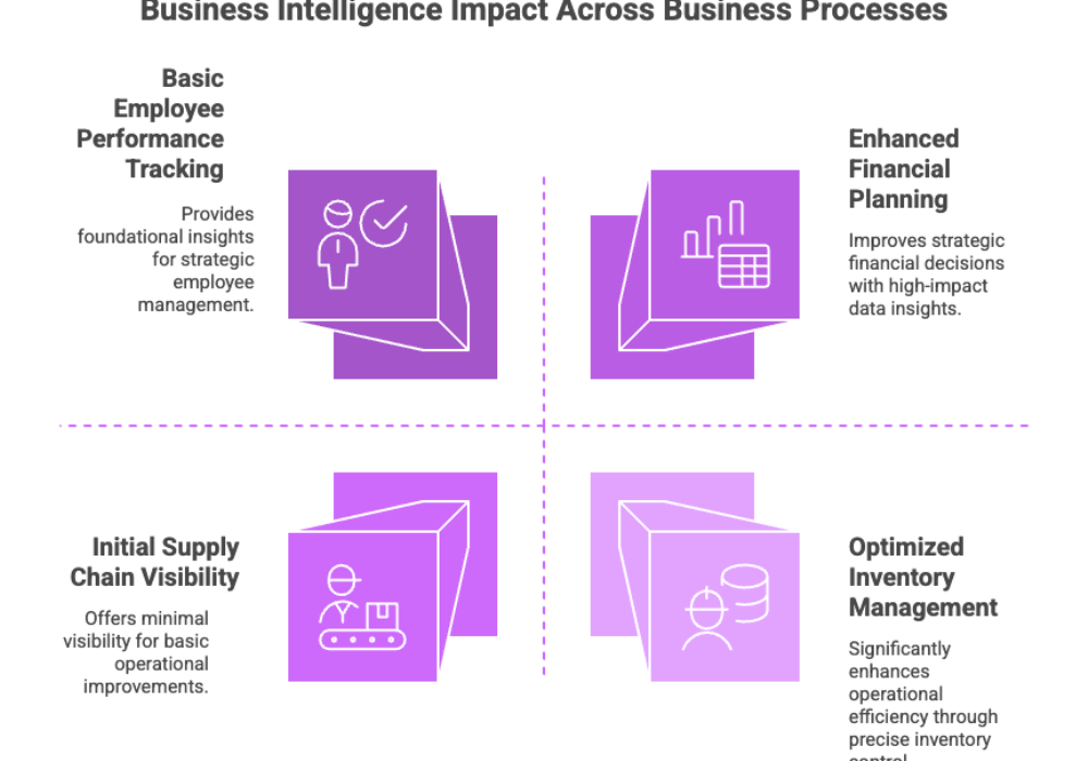 Business Intelligence Impact Across Business Processes