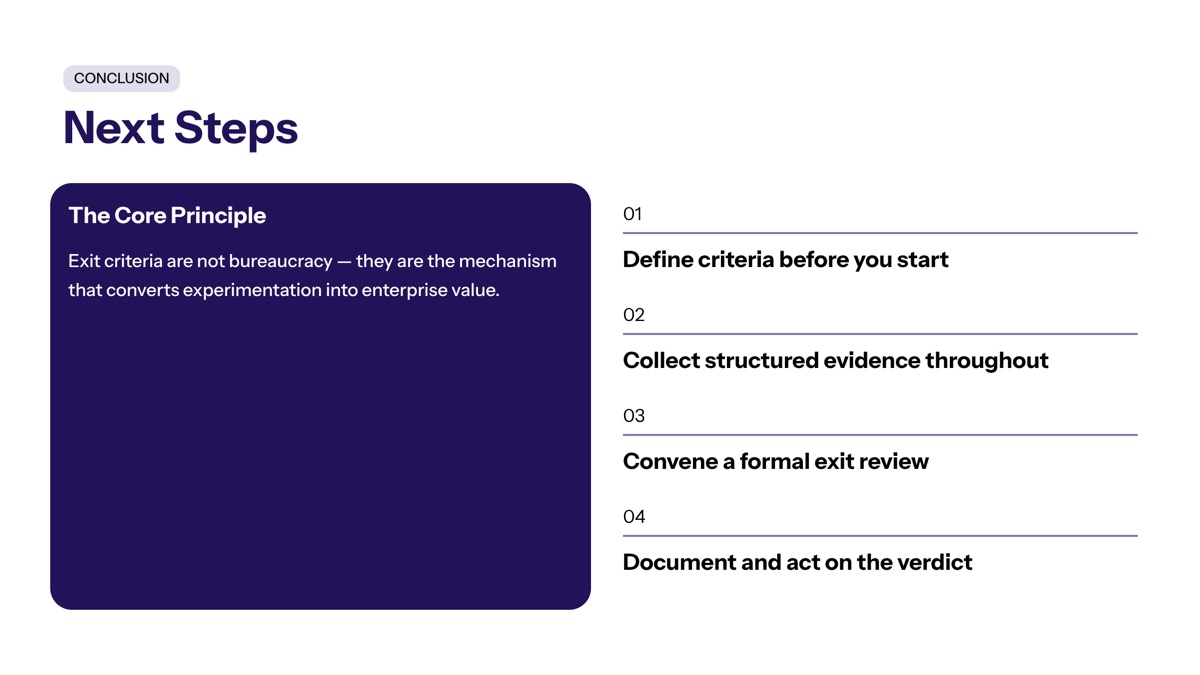 Conclusion and Next Steps visual