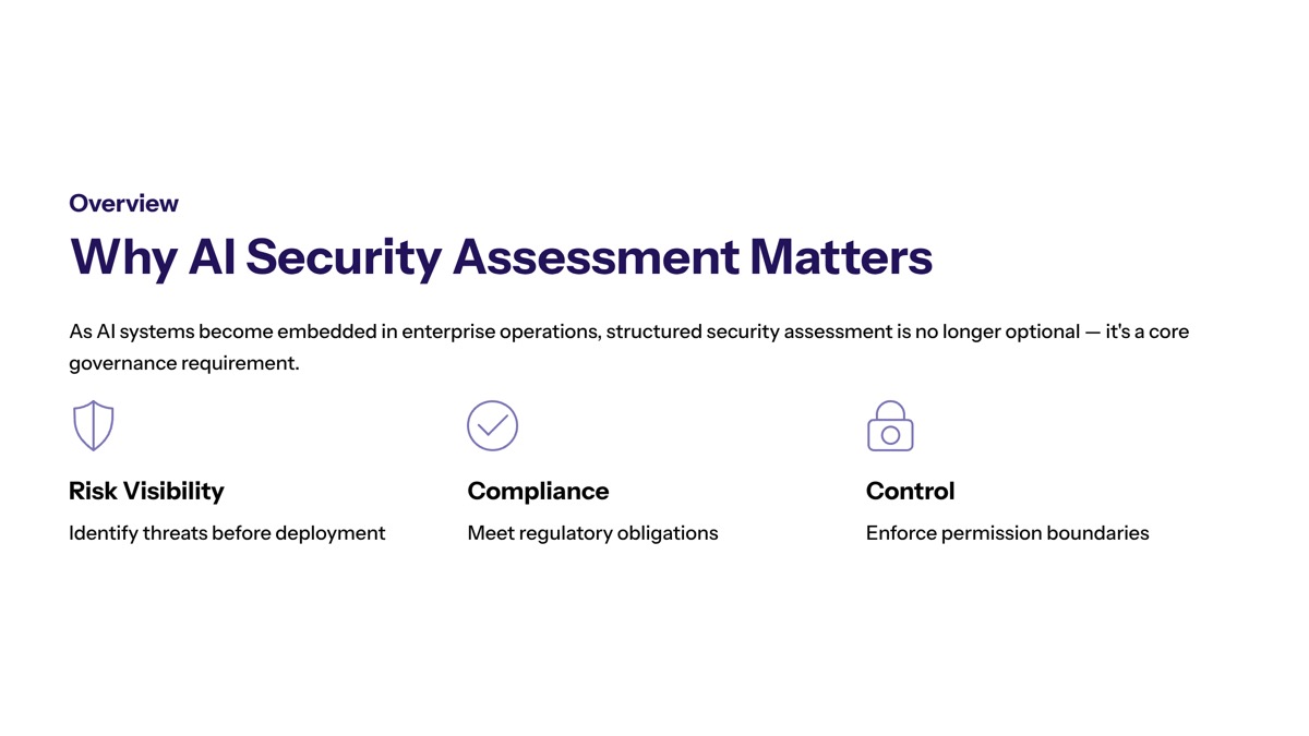 ai security assessment overview visual