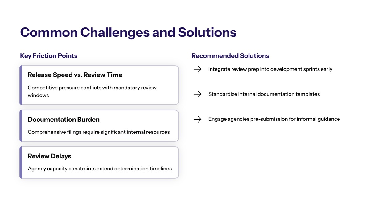 US pre-release AI model reviews visual for Common Challenges and Solutions