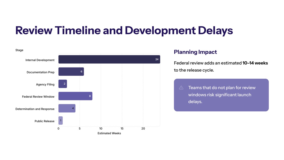 US pre-release AI model reviews visual for Review Timeline and Development Delays