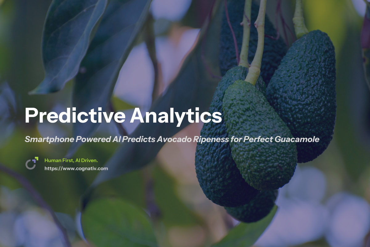 Smartphone Powered AI Predicts Avocado Ripeness to Reduce Food Waste