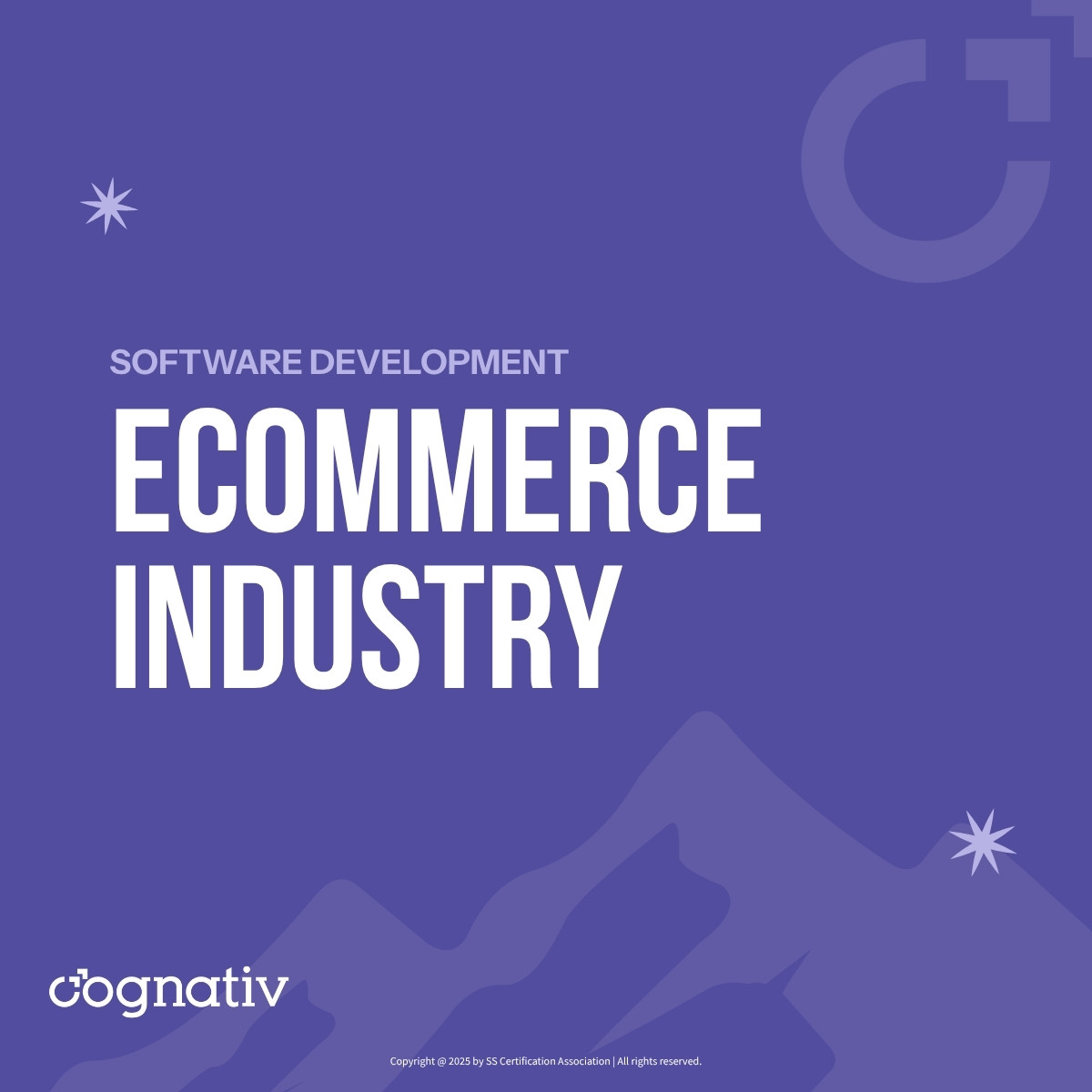 Retail and ecommerce platform modernization