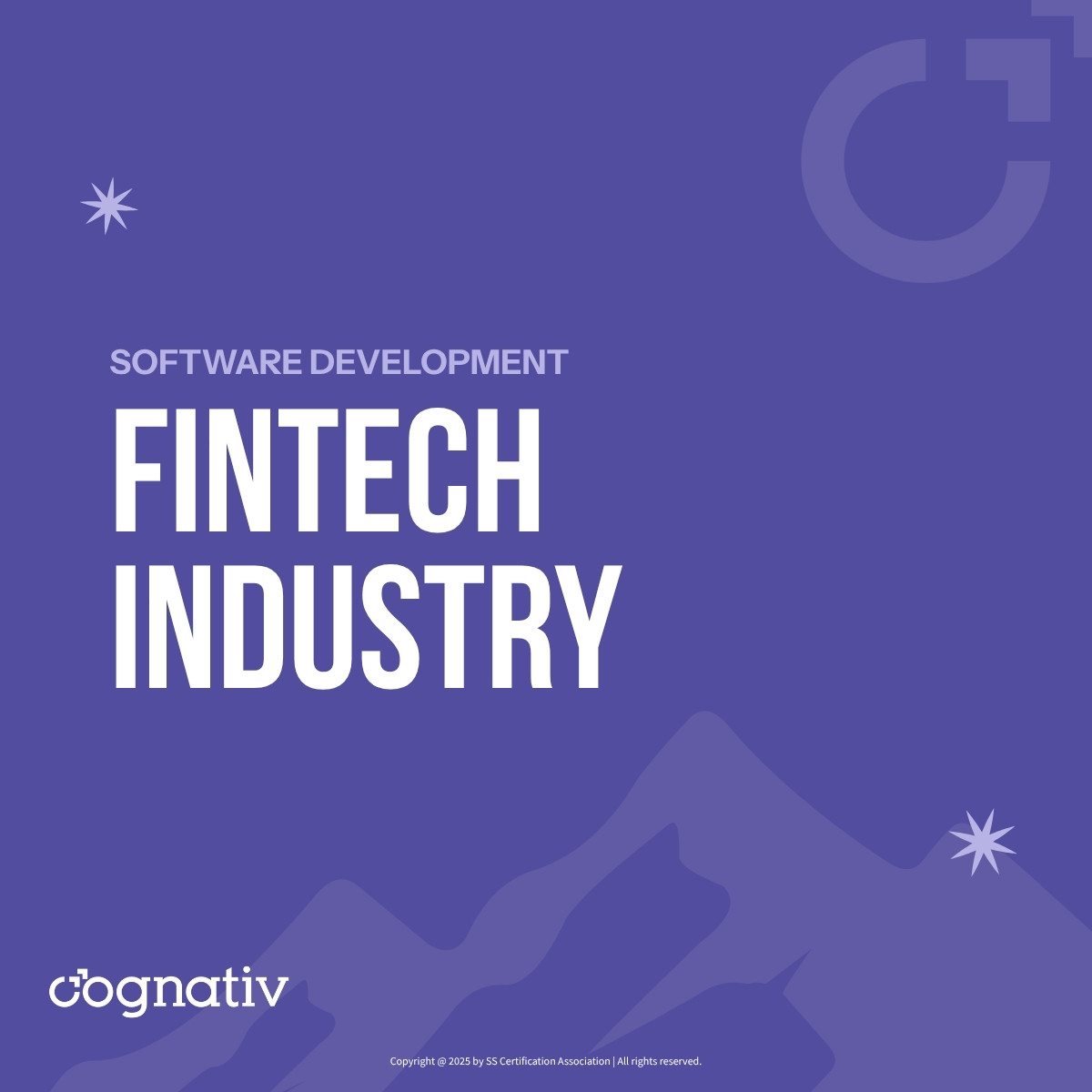 Fintech software platforms and financial technology systems